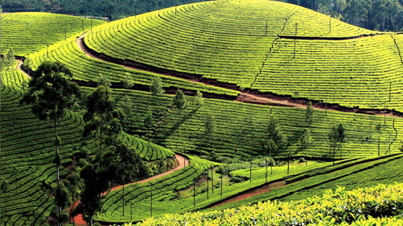 Munnar